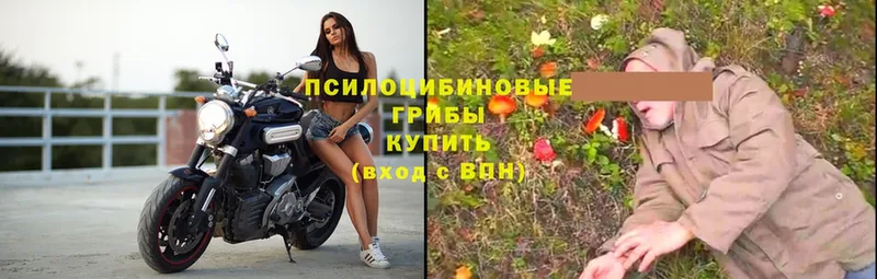 Галлюциногенные грибы мухоморы  Билибино 